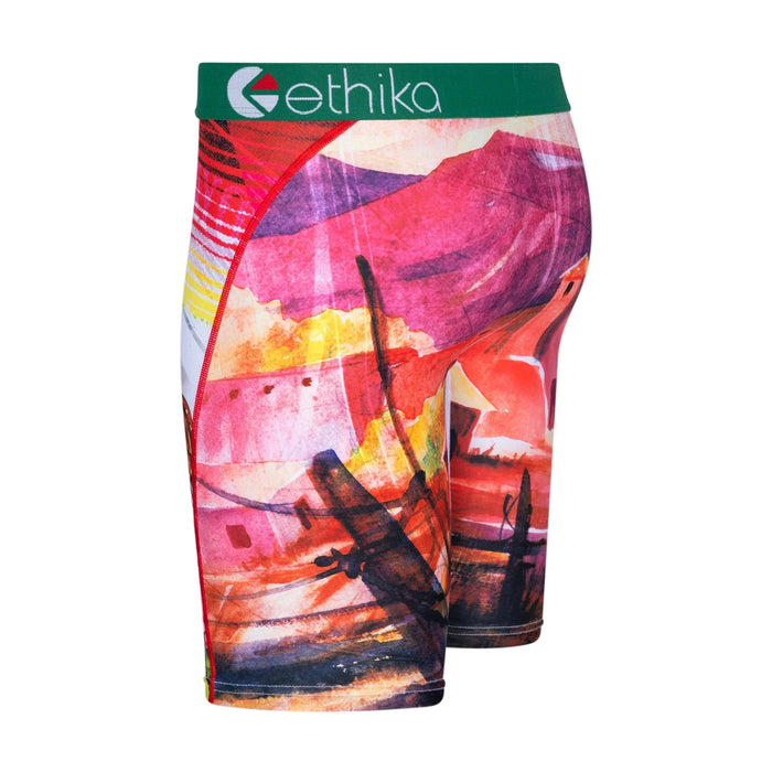 Ethika Mens Staple Cinco Boxer Briefs Underwear 192228953043 Free Shipping Worldwide