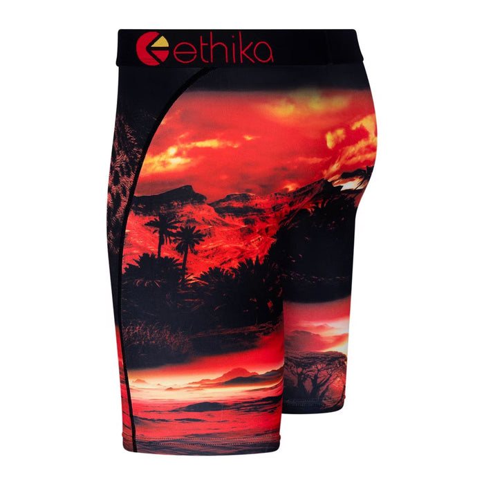 Ethika Men’s Staple Dark Safari Boxer Briefs Underwear 197548162922