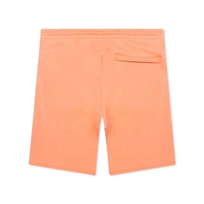 ICECREAM Mens Reflect Short Pants & Shorts 193034003915 Free Shipping Worldwide